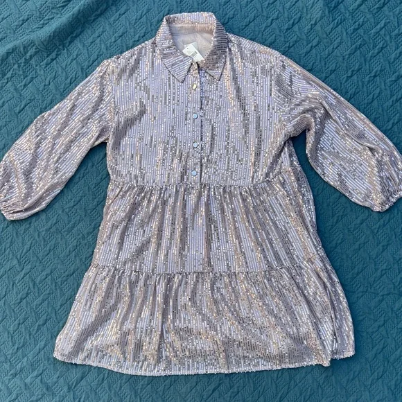 Maeve Shimmering Silver Pink Sequin Dress Anthropologie - Picture 1 of 8